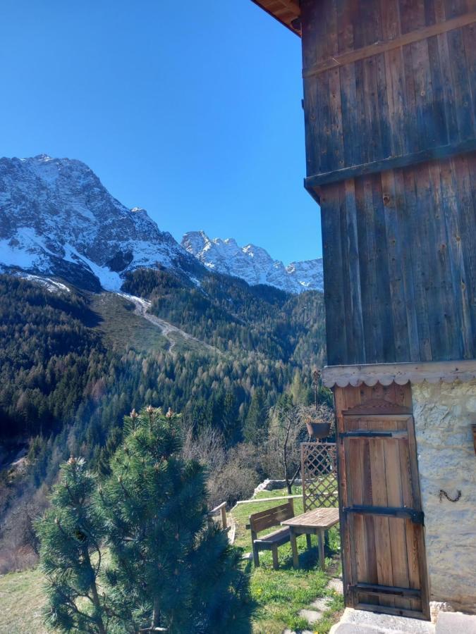 Chalet La Rite Dolomiti Masarie Eksteriør billede